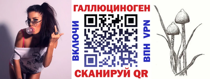 Псилоцибиновые грибы Cubensis  даркнет сайт  Янаул 